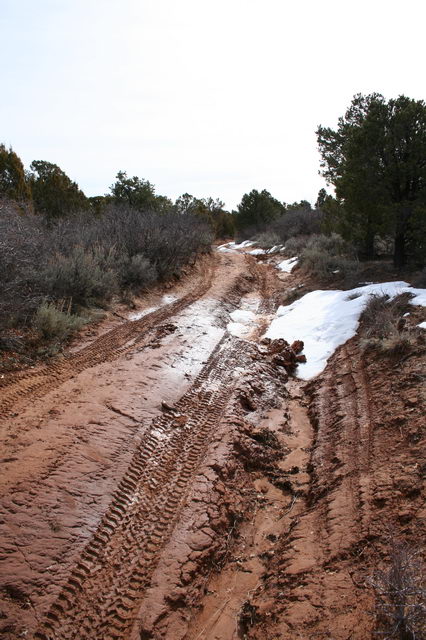 Muddy track